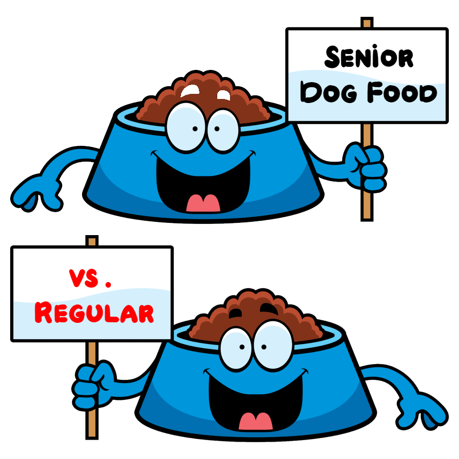 difference between senior dog food and regular dog food