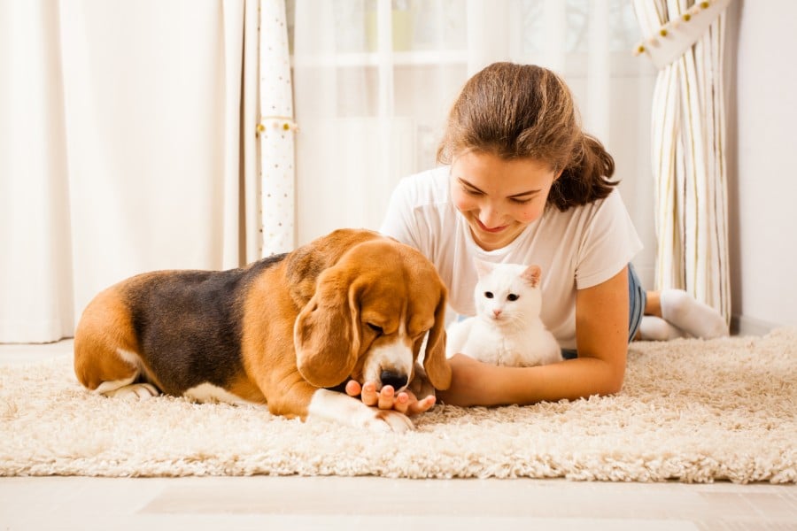 A girl with her Beagle and kitty
