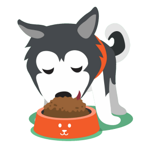 The best dog food for Huskies