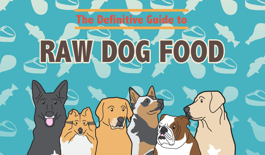 Raw Dog Food Guide