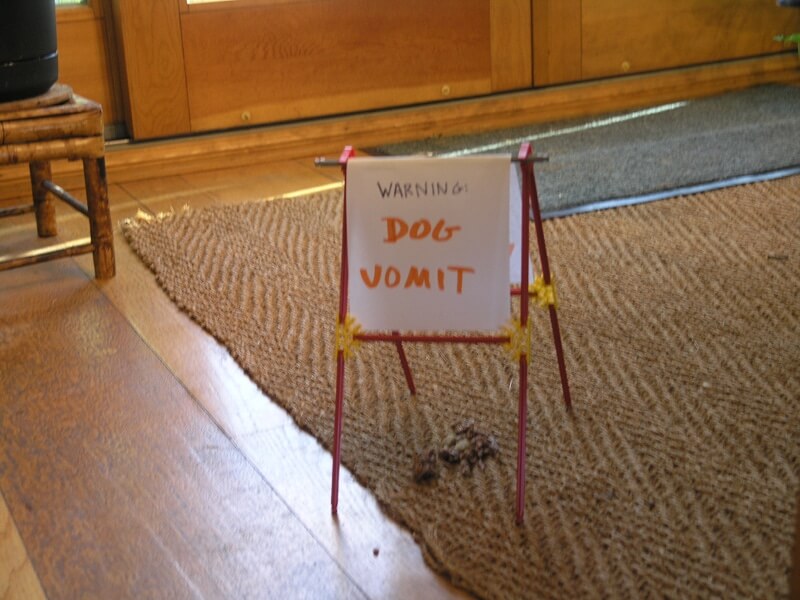 Dog vomit warning sign