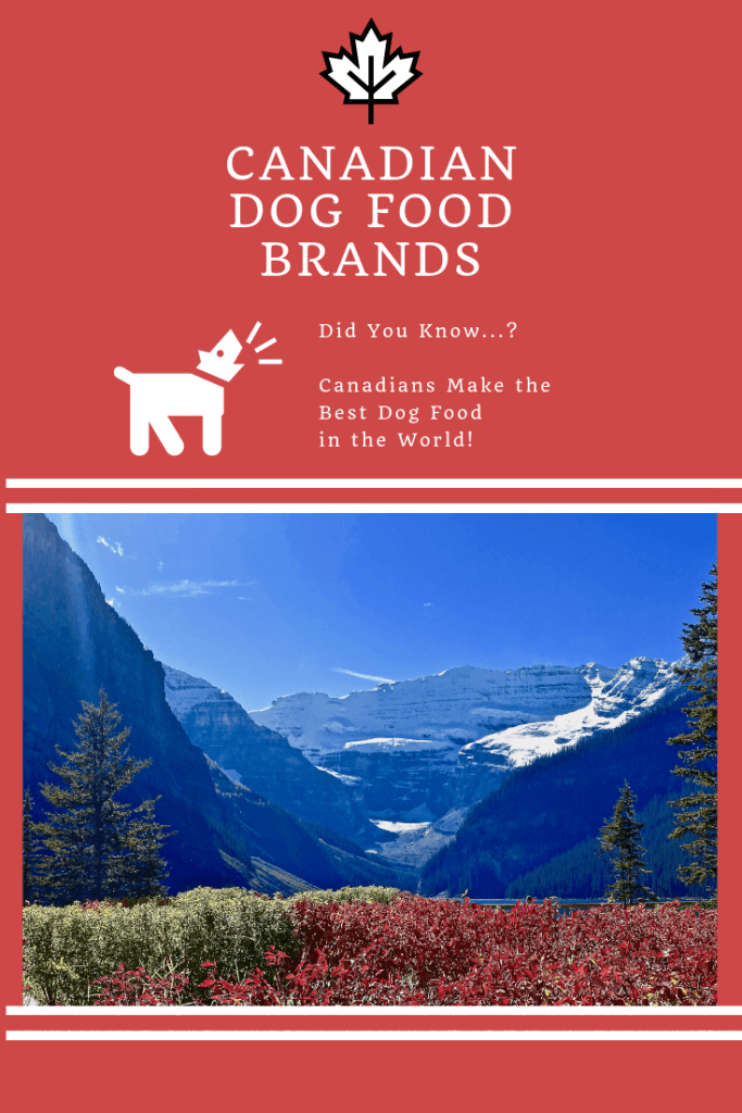 Best Canadian dog food brands