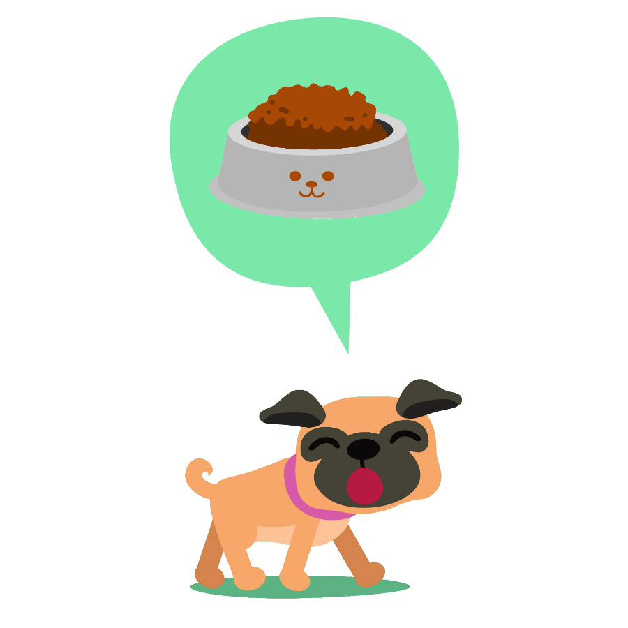 Best dog food for Pugs