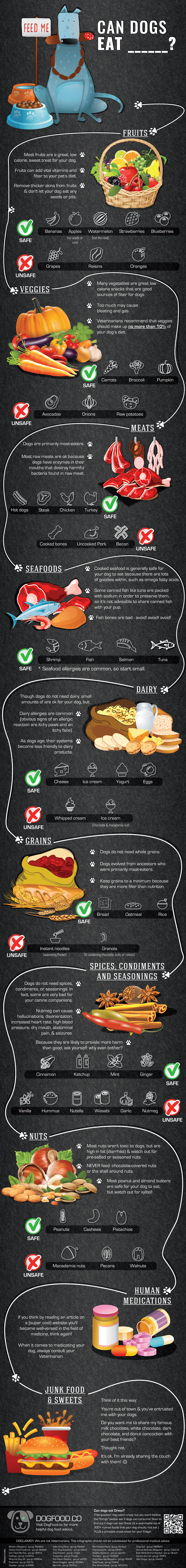 what human foods can dogs eat