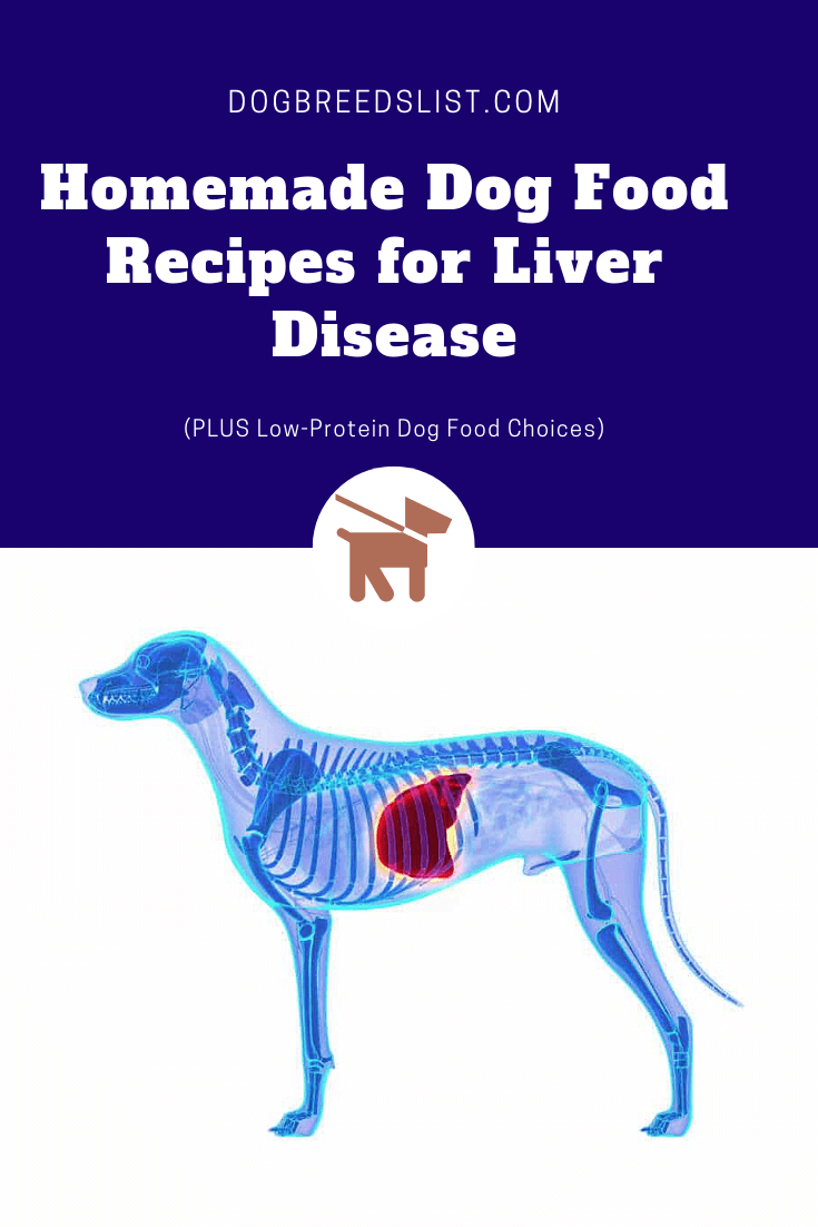 Best Low Protein Dog Food for Liver Disease including homemade dog food recipes for liver disease