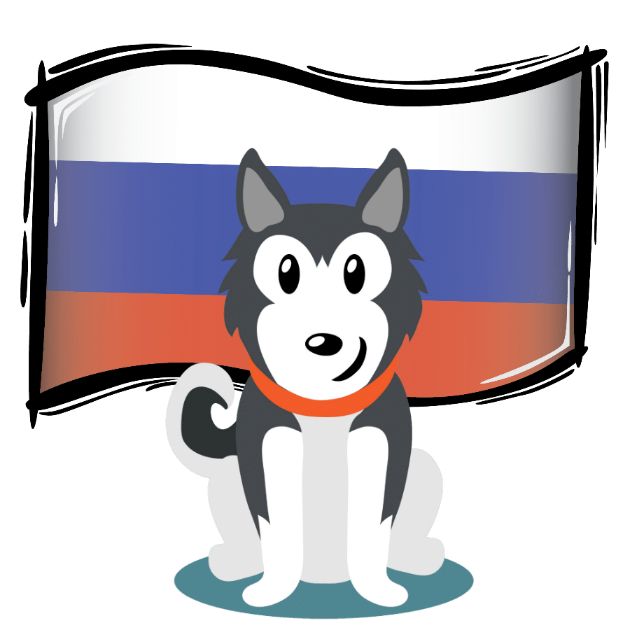 A história da origem dos Huskies da Sibéria