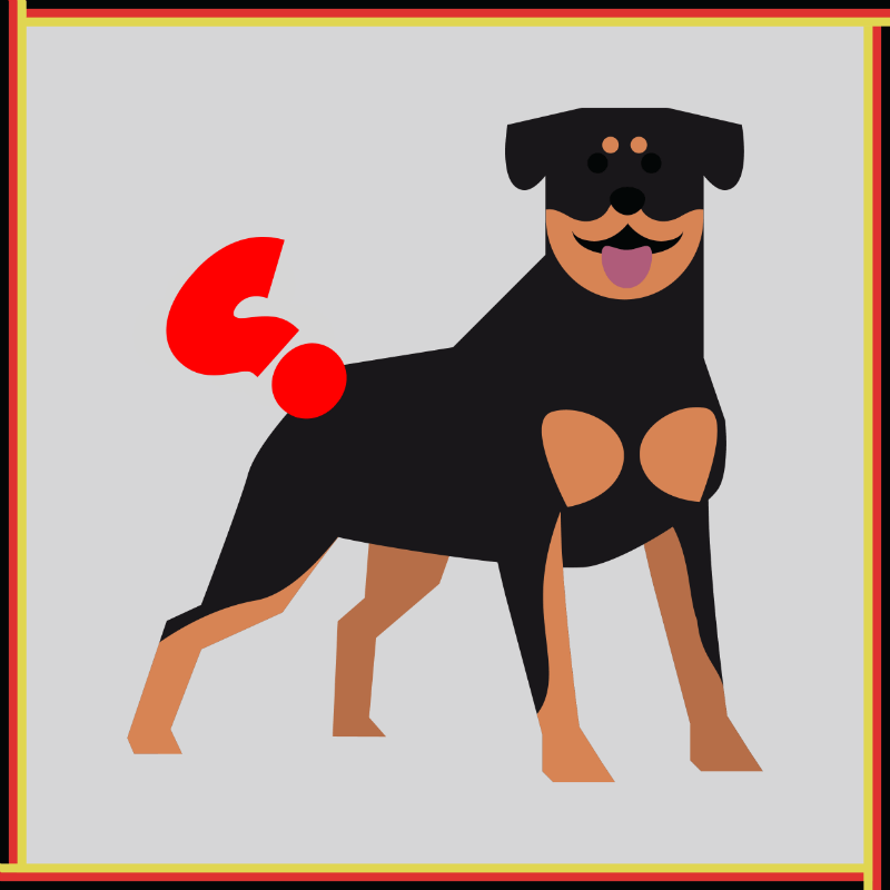 55+ Rottweiler With Tail And Without Tail