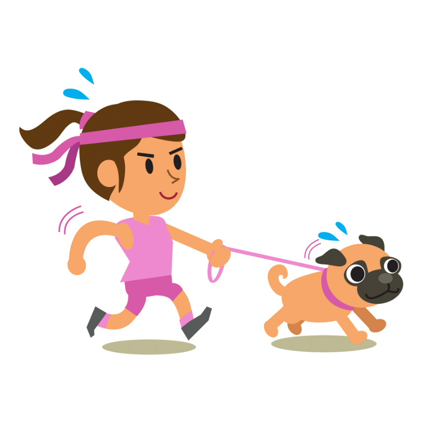 Pug Walking Distance: How far can a Pug walk?