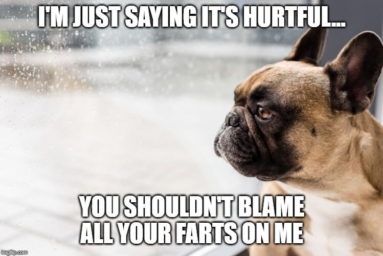 French Bulldog Farts: Why do Frenchies Fart so Much? | Dog Breeds List