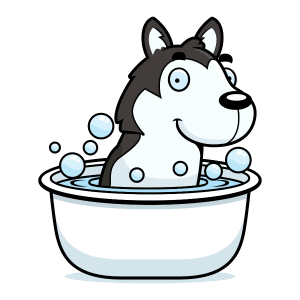 Do Huskies like water?