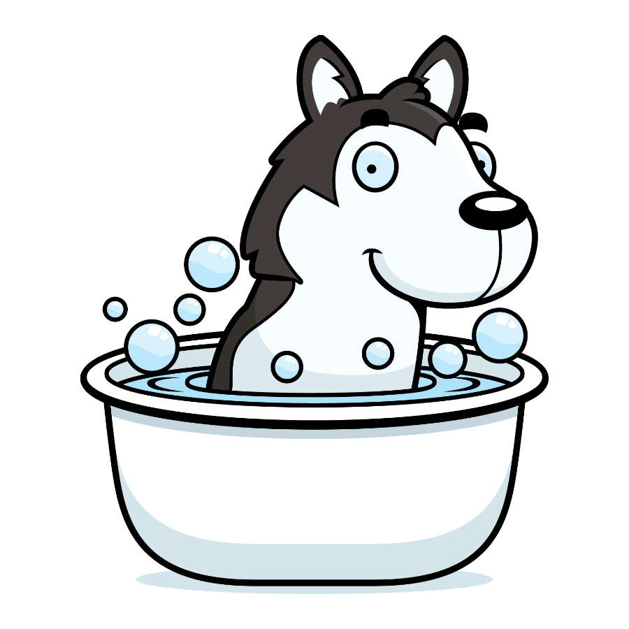 do huskies like baths