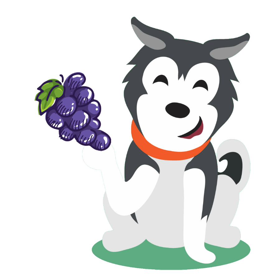 Can Huskies eat grapes?