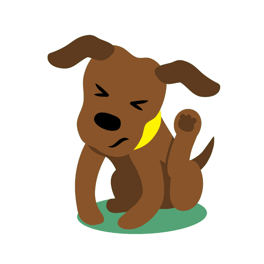Itchy skin in dogs