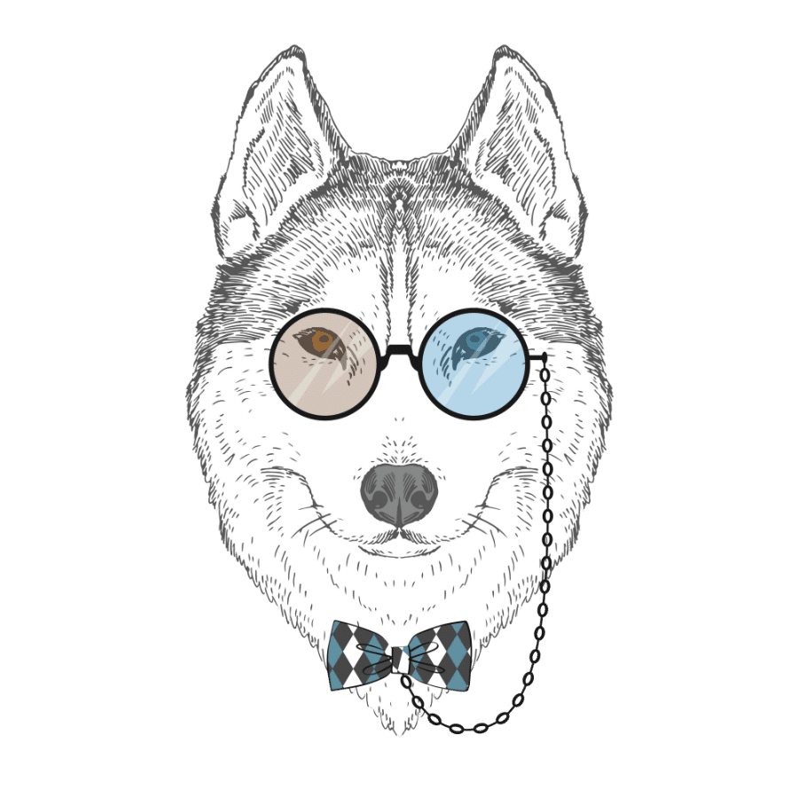 Do Husky Eyes Change Colors? | Dog Breeds List