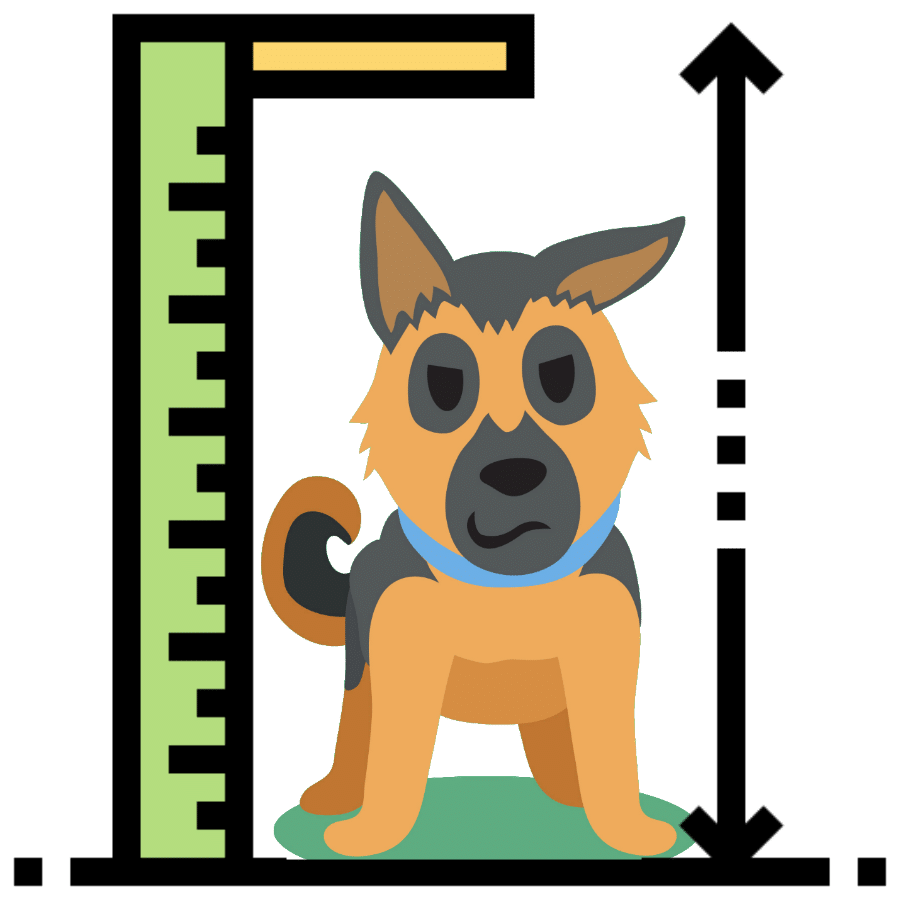 How Tall do German Shepherds Get? Dog Breeds List