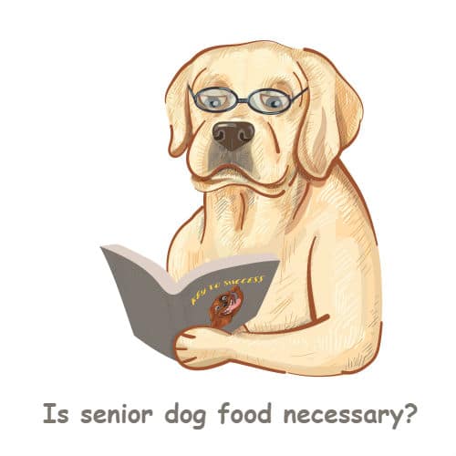 is senior dog food necessary?