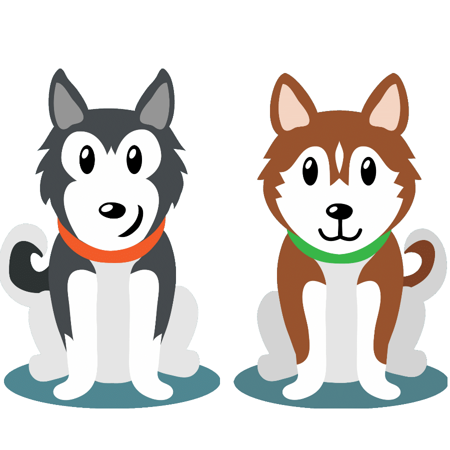 Siberian Husky vs. Alaskan Husky