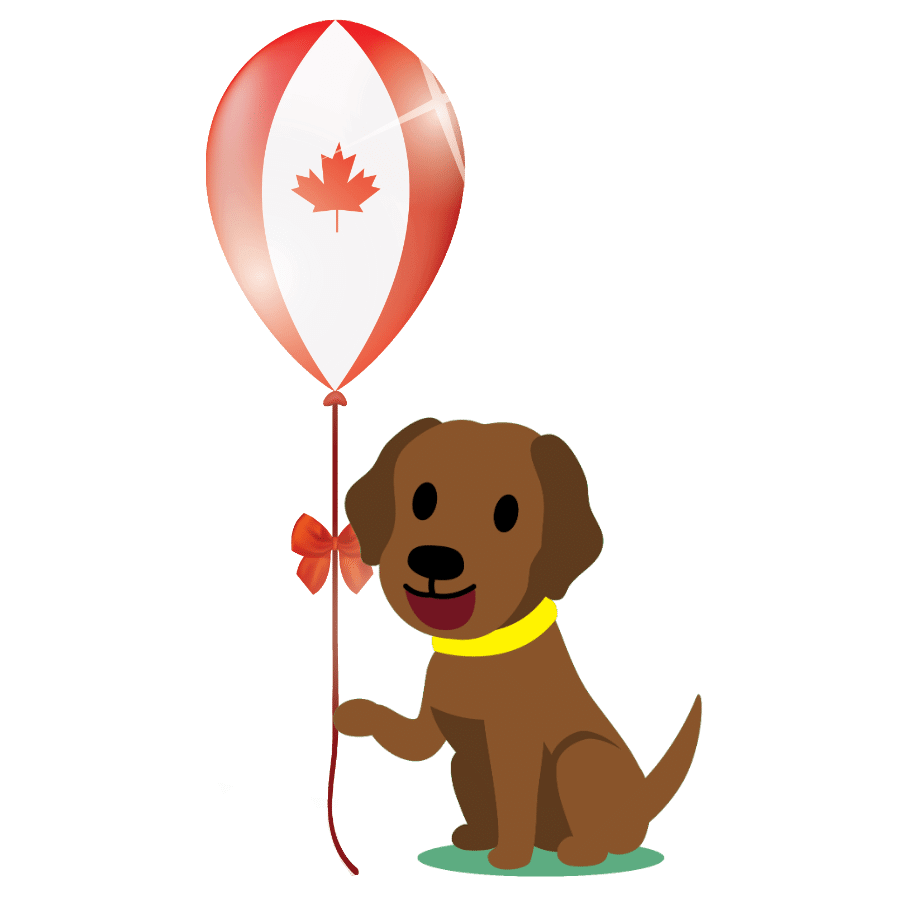 best Canadian puppy food