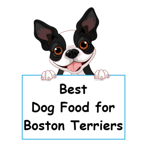 best dog food for Boston Terriers