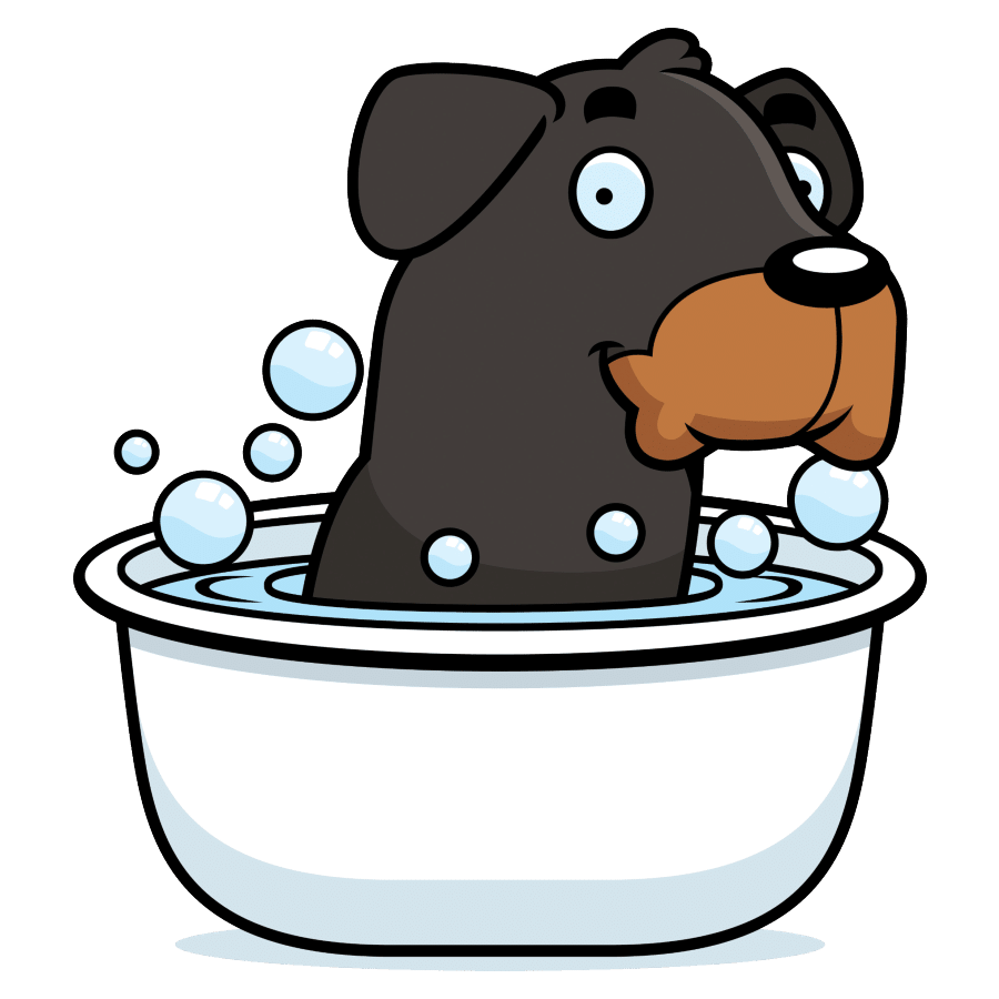 Do Rottweilers swim?
