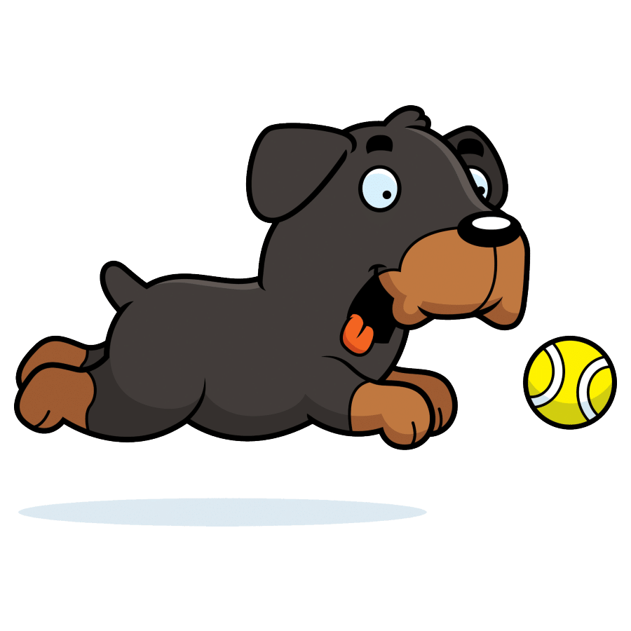 Rottweiler exercise