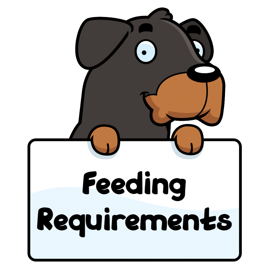 Best dog food for Rottweilers feeding requirements
