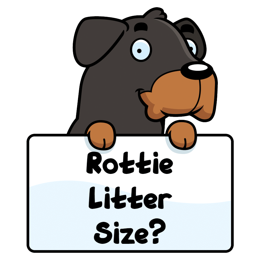 Rottweiler litter size