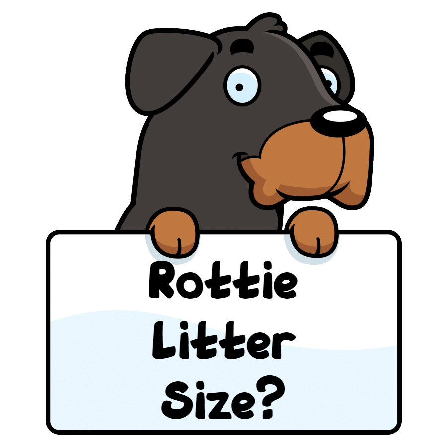 how many litters can a rottweiler have