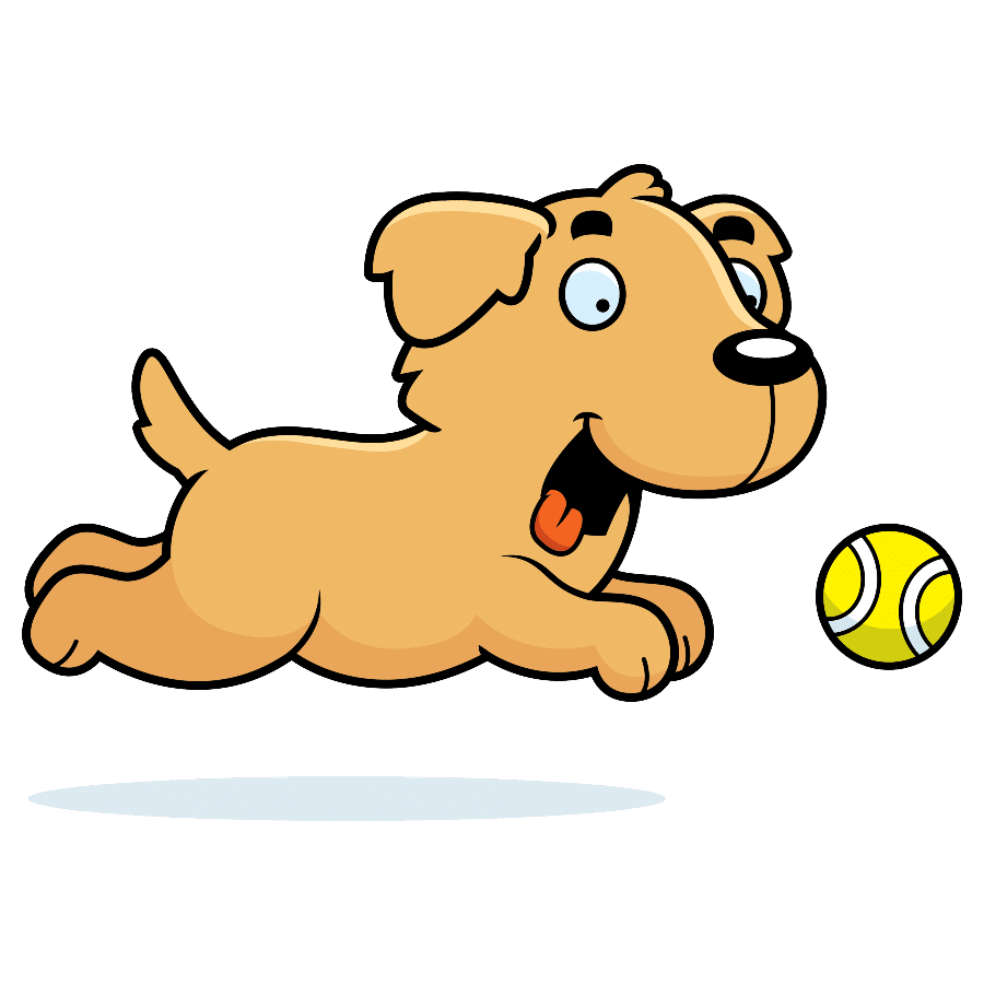 How Fast Can a Golden Retriever Run? | Dog Breeds List