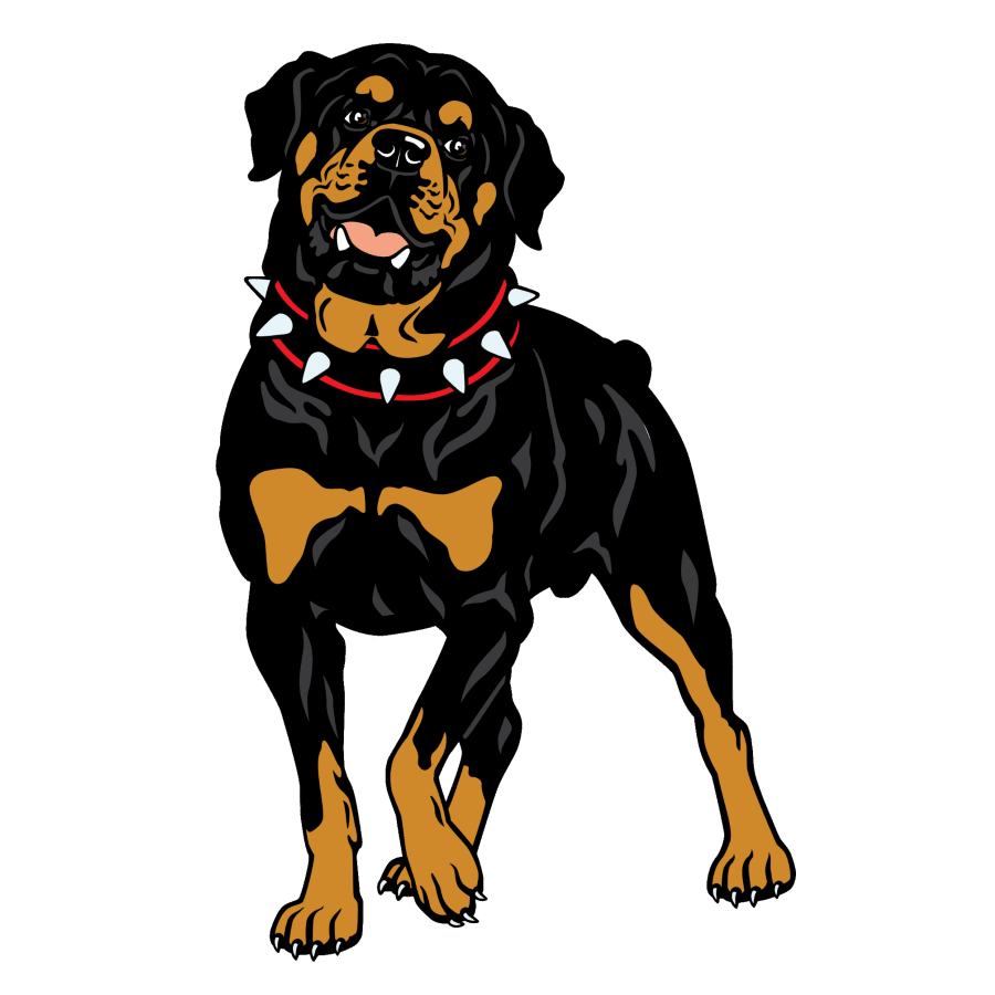 Rottweiler muscle recipes