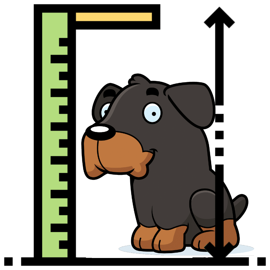 how fast do rottweilers grow