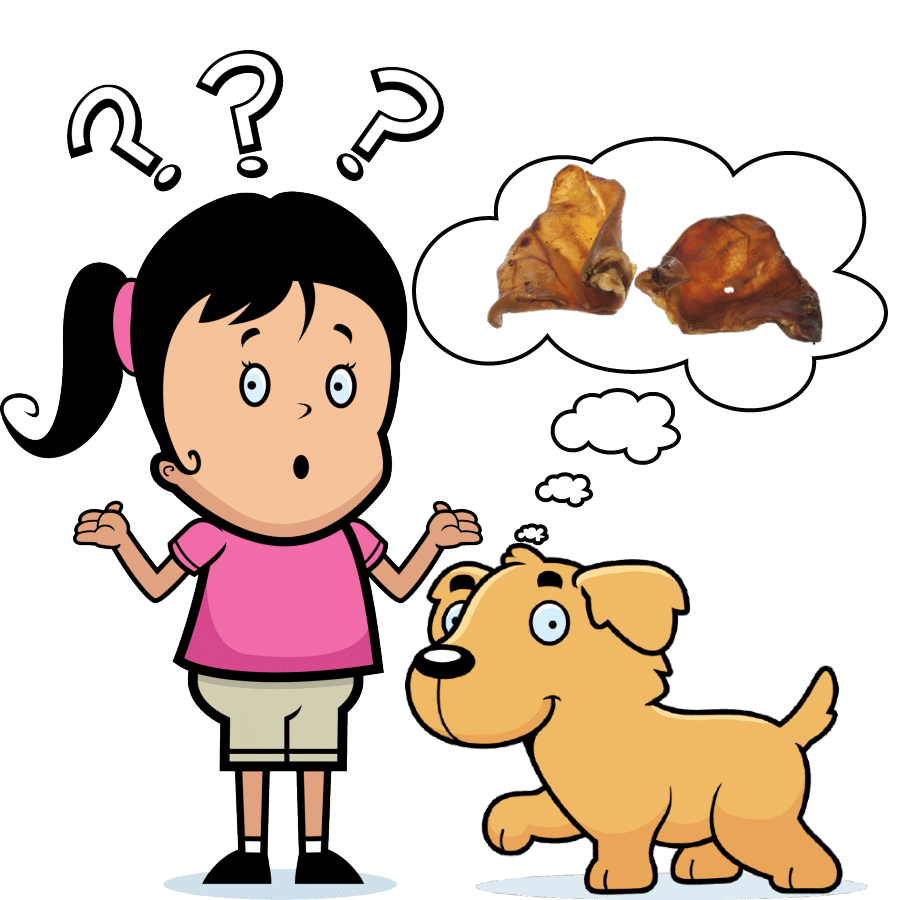 Why are pig ears bad for dogs?