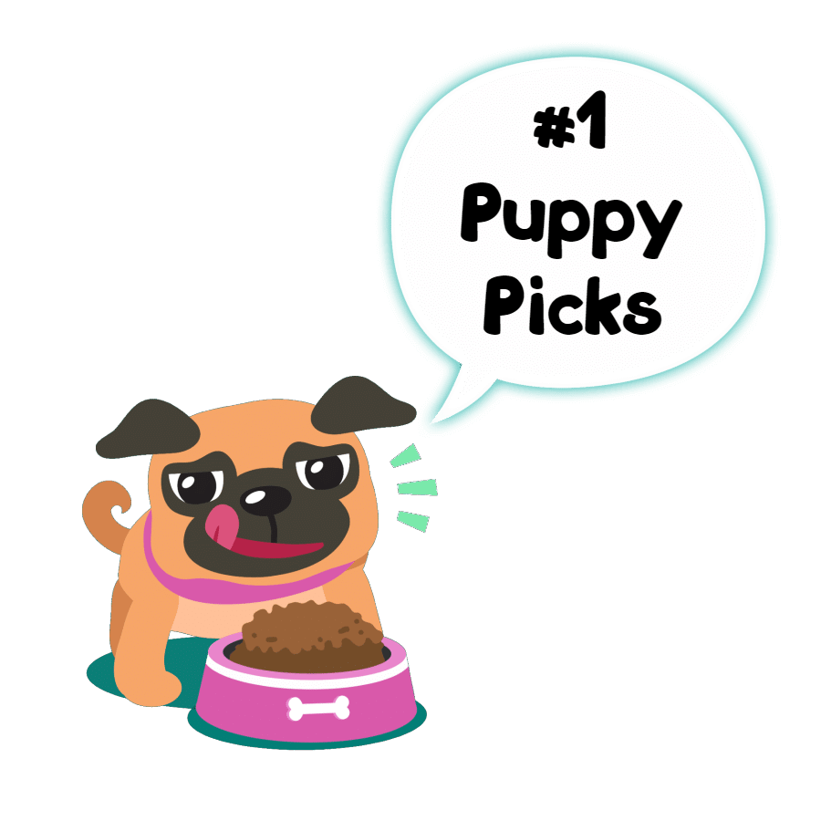 best dog food for Pug puppies