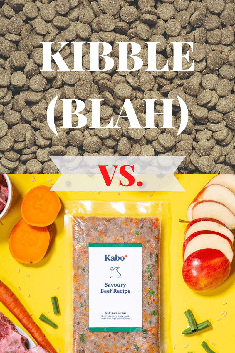 Kabo vs kibble