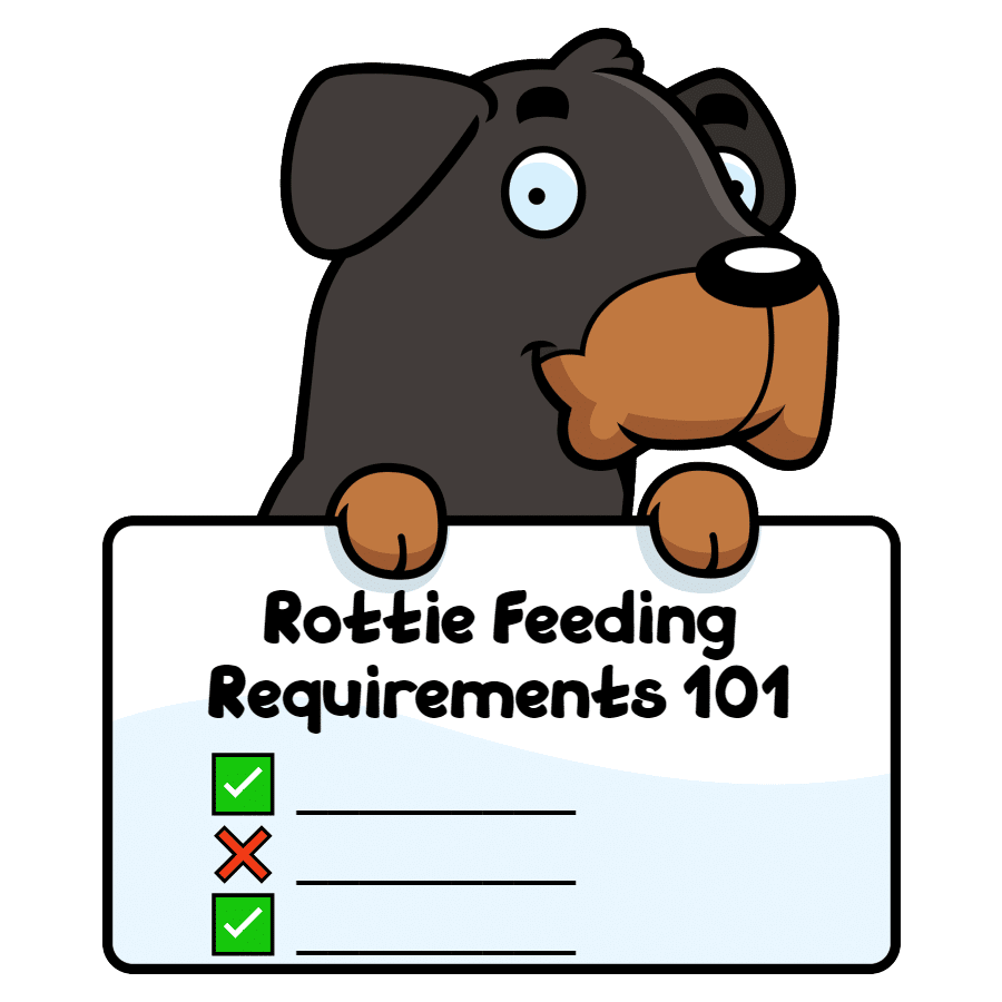 Rottweiler feeding schedule