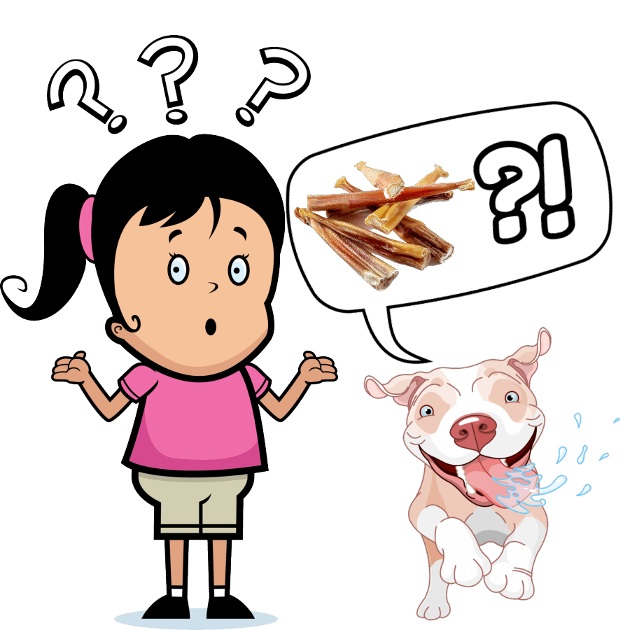 why do bully sticks make dogs thirsty?