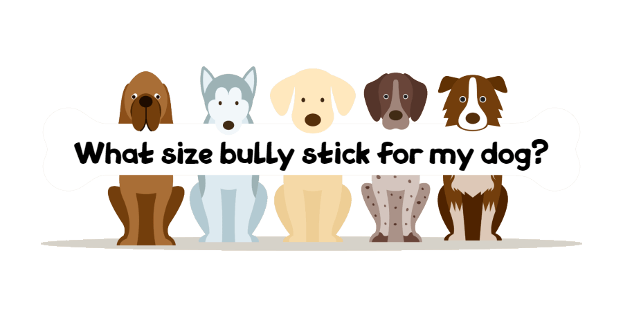 what size bully stick for my dog is best?