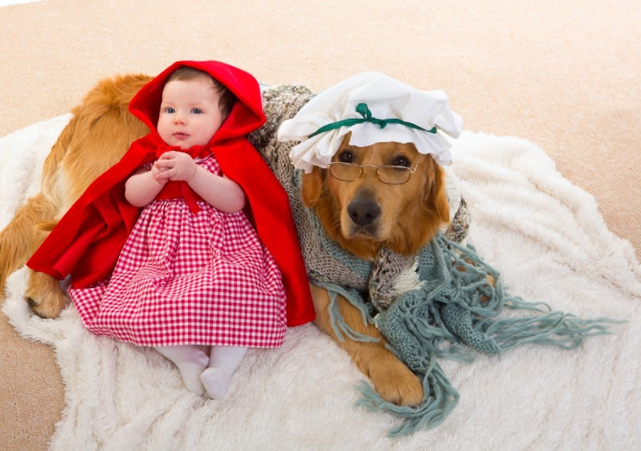 Golden Retriever and baby