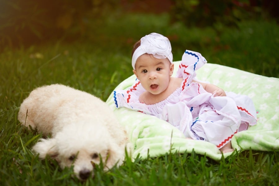 Poodle and baby girl