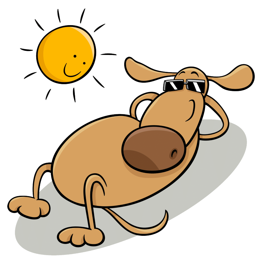 best dogs for hot weather