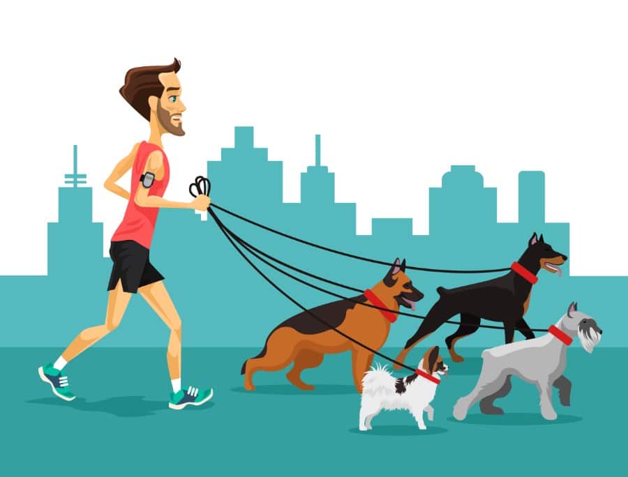 what dogs are best for running