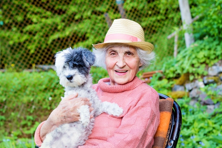 Happy Senior Woman Hugging her Cute Havanese dog