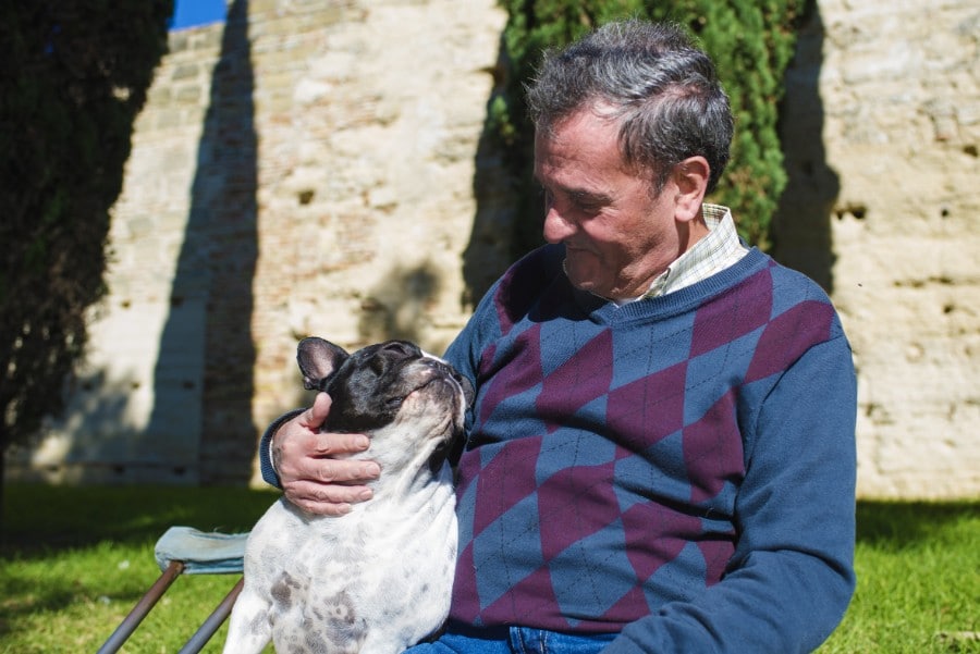 Senior man and his French Bulldog