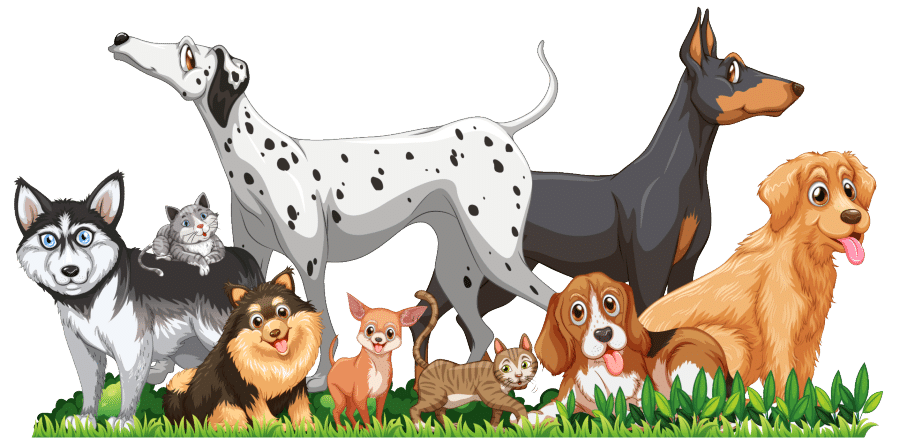 best dog breeds for first time owners