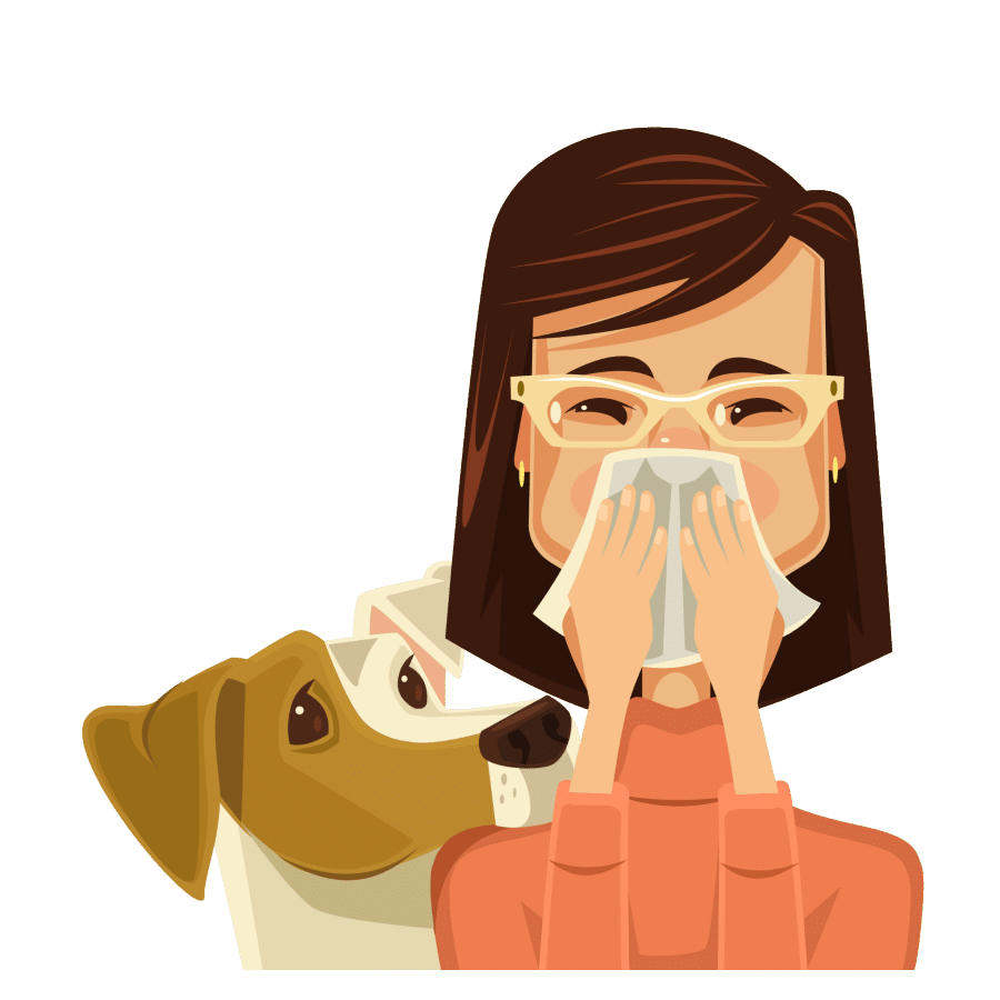 best dogs for allergies